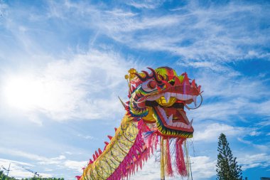 A head of Chinese Dragon dance in the Chinese new year festival. Lion and dragon dance during Chinese New Year celebration. Group of people perform a traditional lion dance.
