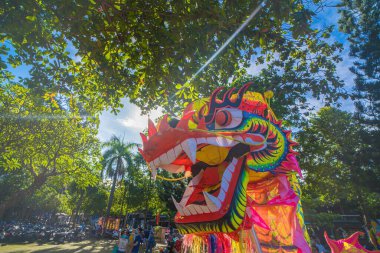 A head of Chinese Dragon dance in the Chinese new year festival. Lion and dragon dance during Chinese New Year celebration. Group of people perform a traditional lion dance.