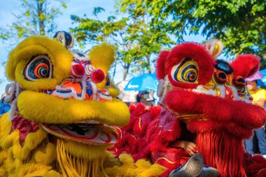 A head of Chinese Lion dance in the Chinese new year festival. Lion and dragon dance during Chinese New Year celebration. Group of people perform a traditional lion dance.