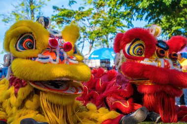 A head of Chinese Lion dance in the Chinese new year festival. Lion and dragon dance during Chinese New Year celebration. Group of people perform a traditional lion dance.