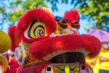 A head of Chinese Lion dance in the Chinese new year festival. Lion and dragon dance during Chinese New Year celebration. Group of people perform a traditional lion dance.