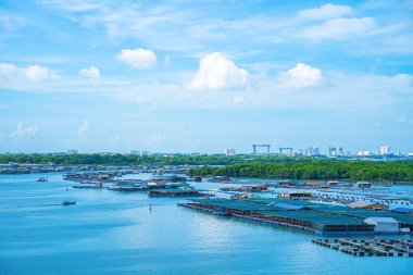 İstiridye çiftliğinin bir köşesi, Long Son komünü, Ba Ria Vung Tau vilayetinde yüzen balıkçı köyü Vietnam. Yüzen köyde yaşayan ve balık besleyen insanlar..