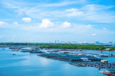 İstiridye çiftliğinin bir köşesi, Long Son komünü, Ba Ria Vung Tau vilayetinde yüzen balıkçı köyü Vietnam. Yüzen köyde yaşayan ve balık besleyen insanlar..