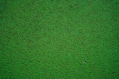 Green grass wall texture for backdrop design and eco wall and die-cut for artwork.Modern eco friendly decor made of colored stabilized moss. Natural background for design and text.