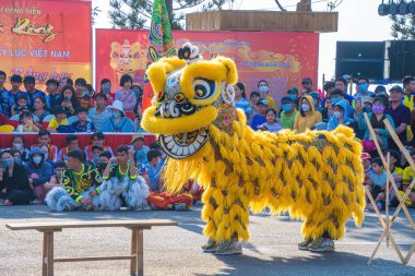 Vung Tau, VIETNAM - JAN 1 2023: Lion and dragon dance perform celebration new year. Group of people perform a traditional lion dance and dragon dance.