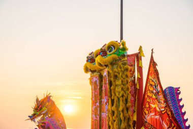Lion and dragon dance perform celebration new year. Group of people perform a traditional lion dance and dragon dance.
