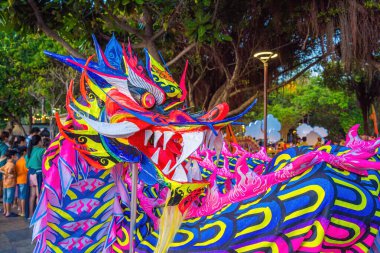 Lion and dragon dance perform celebration new year. Group of people perform a traditional lion dance and dragon dance.