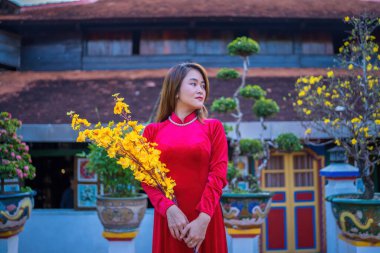 Focus young girl wearing red Ao Dai and holding Ochna integerrima flower. Vietnamese lunar new year. Young girls wear Vietnam tradition ao dai in Tet holidays.