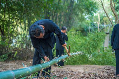 Focus group old man with traditional Vietnamese cut bamboo tree to prepare Neu Tree, The bamboo pole placed in front of house on the last day of the lunar year