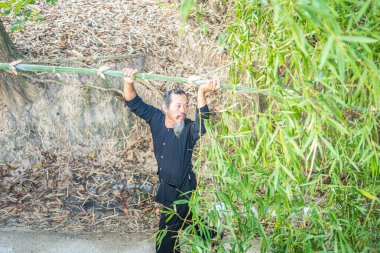 Vung Tau, Vietnam JAN 21 2023: Focus group old man with traditional Vietnamese cut bamboo tree to prepare Neu Tree, The bamboo pole placed in front of house on the last day of the lunar year