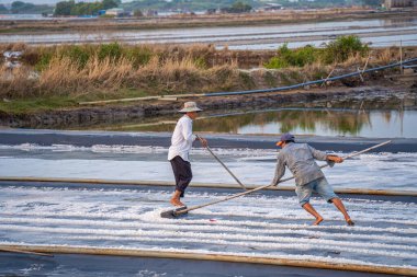 Vung Tau, VIETNAM - 25 Şubat 2023: Long Dien kırsal kesiminde tuz deposundaki tuz yığınından yapılan deniz tuzu işlemi. Tuz tarlaları Vietnam 'ın en eşsiz yerlerinden biridir.