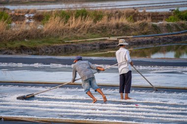 Vung Tau, VIETNAM - 25 Şubat 2023: Long Dien kırsal kesiminde tuz deposundaki tuz yığınından yapılan deniz tuzu işlemi. Tuz tarlaları Vietnam 'ın en eşsiz yerlerinden biridir.