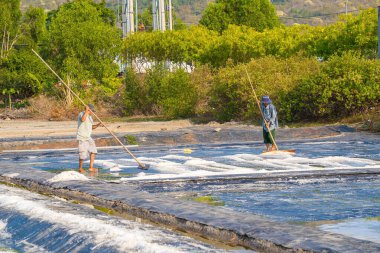 Vung Tau, VIETNAM - 25 Şubat 2023: Long Dien kırsal kesiminde tuz deposundaki tuz yığınından yapılan deniz tuzu işlemi. Tuz tarlaları Vietnam 'ın en eşsiz yerlerinden biridir.