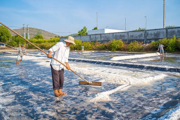 stock image Vung Tau, VIETNAM - FEB 25 2023: Sea salt process made from pile of salt in the salt pan by salt worker at rural area of Long Dien. Salt fields is one of the most unique destinations in Viet Nam