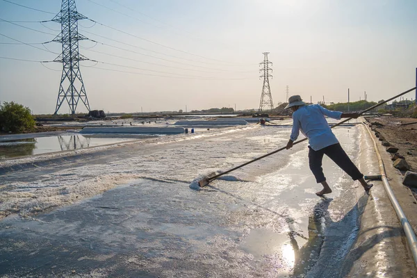 stock image Vung Tau, VIETNAM - FEB 25 2023: Sea salt process made from pile of salt in the salt pan by salt worker at rural area of Long Dien. Salt fields is one of the most unique destinations in Viet Nam