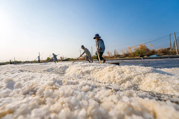 stock image Vung Tau, VIETNAM - FEB 25 2023: Sea salt process made from pile of salt in the salt pan by salt worker at rural area of Long Dien. Salt fields is one of the most unique destinations in Viet Nam