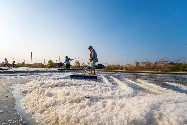 stock image Vung Tau, VIETNAM - FEB 25 2023: Sea salt process made from pile of salt in the salt pan by salt worker at rural area of Long Dien. Salt fields is one of the most unique destinations in Viet Nam