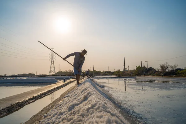 stock image Vung Tau, VIETNAM - FEB 25 2023: Sea salt process made from pile of salt in the salt pan by salt worker at rural area of Long Dien. Salt fields is one of the most unique destinations in Viet Nam