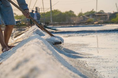 Long Dien 'in kırsal kesimindeki tuz işçisi Ba Ria Vung Tau' nun tuz tavasındaki tuz yığınından yapılmış deniz tuzu işlemi. Tuz tarlaları Vietnam 'ın en eşsiz yerlerinden biridir.