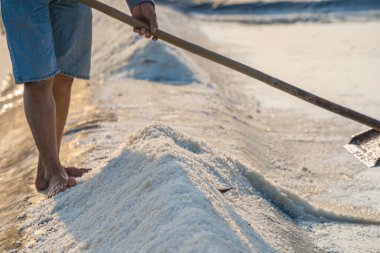 Long Dien 'in kırsal kesimindeki tuz işçisi Ba Ria Vung Tau' nun tuz tavasındaki tuz yığınından yapılmış deniz tuzu işlemi. Tuz tarlaları Vietnam 'ın en eşsiz yerlerinden biridir.
