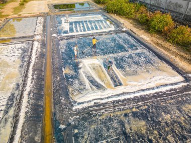 Long Dien 'in kırsal kesimindeki tuz işçisi Ba Ria Vung Tau' nun tuz tavasındaki tuz yığınından yapılmış deniz tuzu işlemi. Tuz tarlaları Vietnam 'ın en eşsiz yerlerinden biridir.