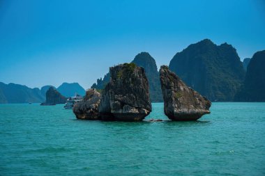 Hon Ga Choi Adası veya Horoz ve Tavuk Adası Halong Körfezi, Vietnam, Trong Mai Adası, Güneydoğu Asya 'da bulunan Savaşan Horozlar Adası..