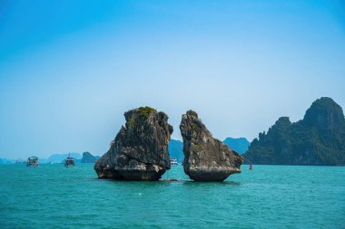 Hon Ga Choi Adası veya Horoz ve Tavuk Adası Halong Körfezi, Vietnam, Trong Mai Adası, Güneydoğu Asya 'da bulunan Savaşan Horozlar Adası..