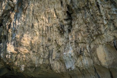 Rock Island Halong Bay, Vietnam, Güneydoğu Asya'da doğal görünümünü. UNESCO dünya mirası. Dağ Adaları'nda Ha uzun Bay. Güzel manzara popüler Asya Simgesel Yapı ünlü hedef Vietnam