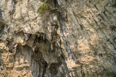 Rock Island Halong Bay, Vietnam, Güneydoğu Asya'da doğal görünümünü. UNESCO dünya mirası. Dağ Adaları'nda Ha uzun Bay. Güzel manzara popüler Asya Simgesel Yapı ünlü hedef Vietnam