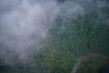 Kedi Köyü 'nün güzel manzarası, Sapa' nın dağlık bir kültürel köyü. Pirinç tarlaları (pirinç tarlaları). Popüler turist gezisi merkezi.