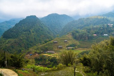 Kedi Köyü 'nün güzel manzarası, Sapa' nın dağlık bir kültürel köyü. Pirinç tarlaları (pirinç tarlaları). Popüler turist gezisi merkezi.