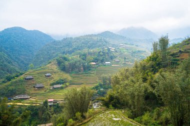 Kedi Köyü 'nün güzel manzarası, Sapa' nın dağlık bir kültürel köyü. Pirinç tarlaları (pirinç tarlaları). Popüler turist gezisi merkezi.