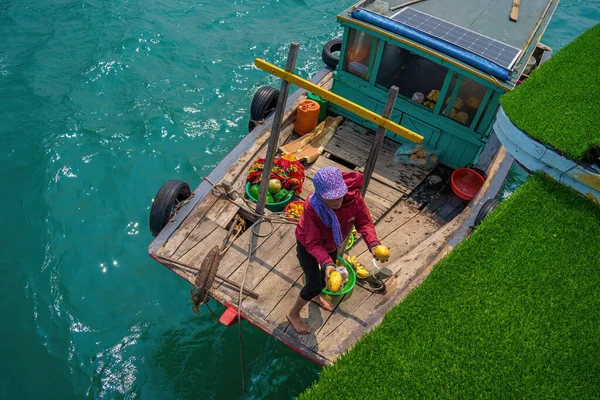 Aerial View Famous Floating Market Halong Bay Floating Market Farmer — Stock Photo, Image