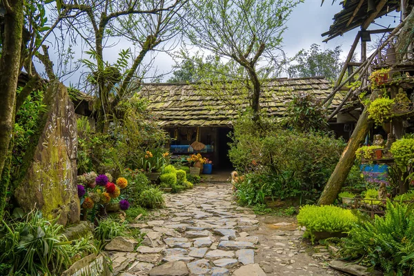 Kedi Köyü 'nün güzel manzarası, Sapa' nın dağlık bir kültürel köyü. Pirinç tarlaları (pirinç tarlaları). Popüler turist gezisi merkezi.