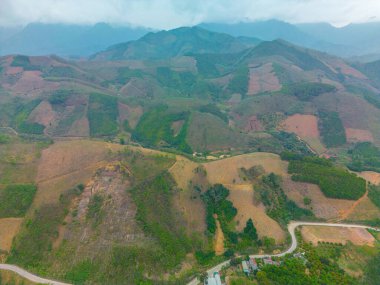 Vietnam 'daki Yen Bai otobanındaki pirinç tarlalarının en üst görüntüsü. Pirinç tarlaları Kuzeybatı Vietnam 'da hasat hazırlıyor.