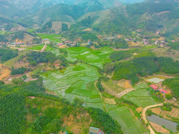 Vista Superior Dos Campos Arroz Terraços Estrada Yen Bai Vietnã — Fotografia de Stock