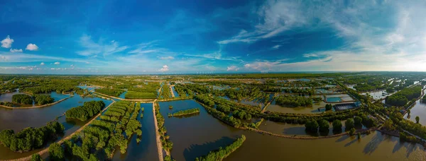 Aerial view of mangrove forest and shrimp farming, windmill farm, with high wind turbines for generation electricity with copy space in Tra Vinh province, Vietnam. Nature and landscape concept