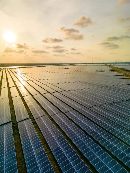 农场太阳能电池板的最高视图 替代电力来源 太阳能电池板吸收阳光作为能源来发电 创造可持续能源 生态概念 — 图库照片