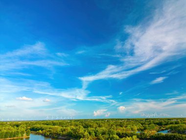 Mangrov ormanının ve karides çiftliğinin havadan görünüşü, yel değirmeni çiftliği, yüksek rüzgar türbinleri, Tra Vinh vilayetinde fotokopi alanı olan elektrik jenerasyonu, Vietnam. Doğa ve manzara kavramı