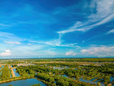 Mangrov ormanının ve karides çiftliğinin havadan görünüşü, yel değirmeni çiftliği, yüksek rüzgar türbinleri, Tra Vinh vilayetinde fotokopi alanı olan elektrik jenerasyonu, Vietnam. Doğa ve manzara kavramı