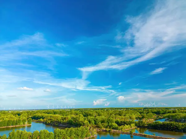 在越南的特拉文省 空中俯瞰红树林和虾类养殖 风车农场 高风力涡轮机发电和复制空间 自然与景观概念 — 图库照片