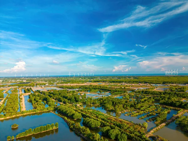 在越南的特拉文省 空中俯瞰红树林和虾类养殖 风车农场 高风力涡轮机发电和复制空间 自然与景观概念 — 图库照片