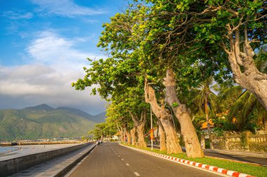 Vietnam 'daki Con Dao adasındaki kıyı şeridi boyunca uzanan ünlü yol. Con Dao Adası Güney Vietnam 'ın en ünlü yerlerinden biridir..