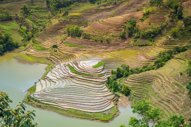 Muong Hum, Y Ty, Lao Cai, Vietnam 'daki pirinç teraslarının hava görüntüsü. Vietnam 'ın manzara manzarası, Muong Hum' un kalbi pirinç tarlaları. Muhteşem pirinç tarlaları. Dikilmiş panorama çekimi