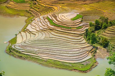 Muong Hum, Y Ty, Lao Cai, Vietnam 'daki pirinç teraslarının hava görüntüsü. Vietnam 'ın manzara manzarası, Muong Hum' un kalbi pirinç tarlaları. Muhteşem pirinç tarlaları. Dikilmiş panorama çekimi