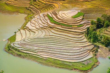 Muong Hum, Y Ty, Lao Cai, Vietnam 'daki pirinç teraslarının hava görüntüsü. Vietnam 'ın manzara manzarası, Muong Hum' un kalbi pirinç tarlaları. Muhteşem pirinç tarlaları. Dikilmiş panorama çekimi