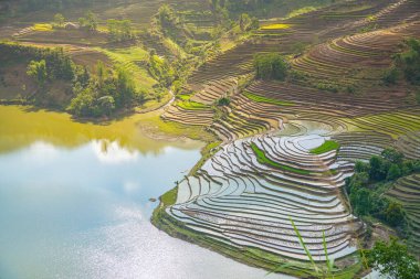 Muong Hum, Y Ty, Lao Cai, Vietnam 'daki pirinç teraslarının hava görüntüsü. Vietnam 'ın manzara manzarası, Muong Hum' un kalbi pirinç tarlaları. Muhteşem pirinç tarlaları. Dikilmiş panorama çekimi