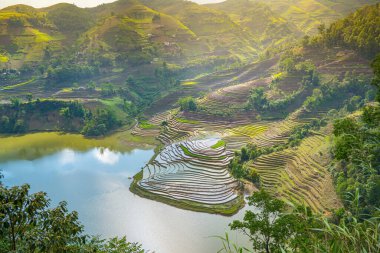 Muong Hum, Y Ty, Lao Cai, Vietnam 'daki pirinç teraslarının hava görüntüsü. Vietnam 'ın manzara manzarası, Muong Hum' un kalbi pirinç tarlaları. Muhteşem pirinç tarlaları. Dikilmiş panorama çekimi