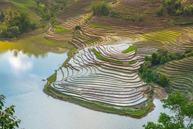 Muong Hum, Y Ty, Lao Cai, Vietnam 'daki pirinç teraslarının hava görüntüsü. Vietnam 'ın manzara manzarası, Muong Hum' un kalbi pirinç tarlaları. Muhteşem pirinç tarlaları. Dikilmiş panorama çekimi