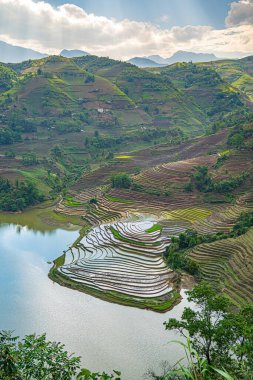 Muong Hum, Y Ty, Lao Cai, Vietnam 'daki pirinç teraslarının hava görüntüsü. Vietnam 'ın manzara manzarası, Muong Hum' un kalbi pirinç tarlaları. Muhteşem pirinç tarlaları. Dikilmiş panorama çekimi